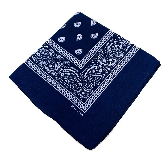 BANDANA-Navy Blue Paisley